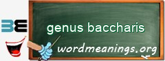 WordMeaning blackboard for genus baccharis